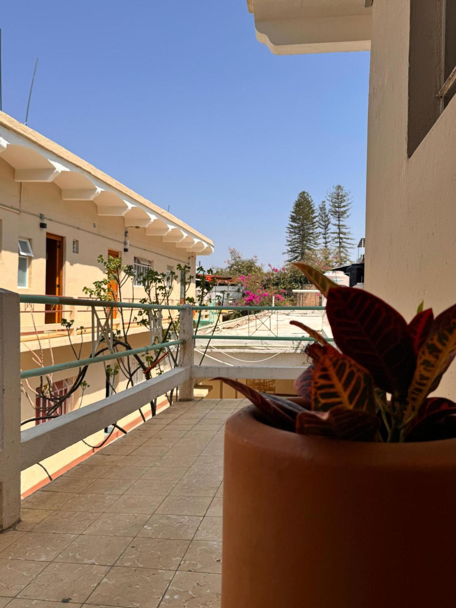 Hotel Bokatrip El Llano à Oaxaca Extérieur photo