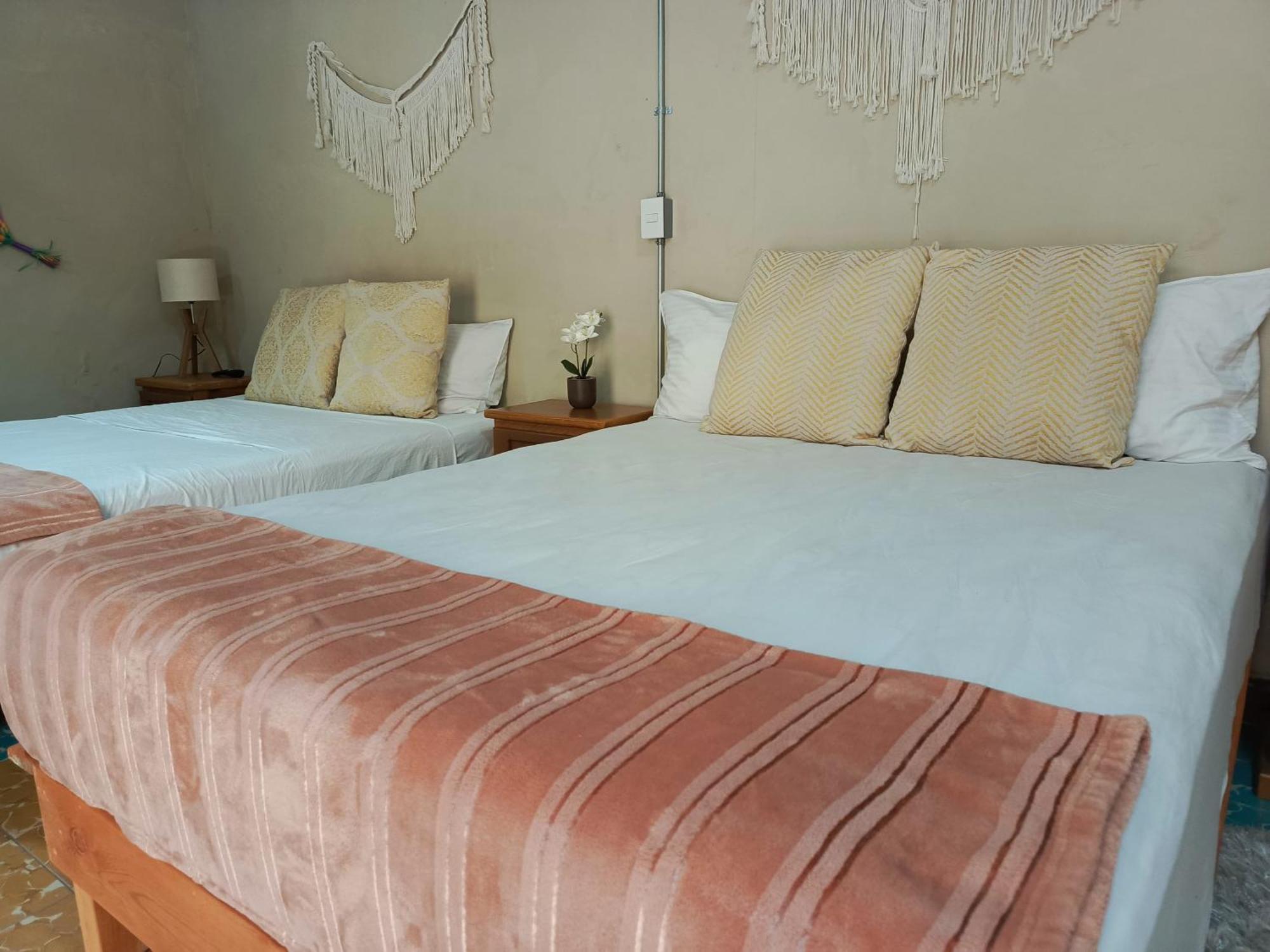 Hotel Bokatrip El Llano à Oaxaca Extérieur photo